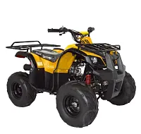 Квадроцикл ABM NINJA 110